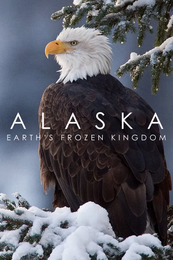 Poster phim Alaska: Vương Quốc Băng Giá trên SubNhanh