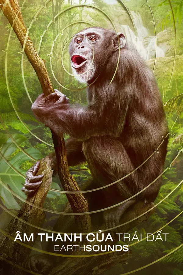 Poster phim Âm Thanh Của Trái Đất - Earthsounds trên SubNhanh