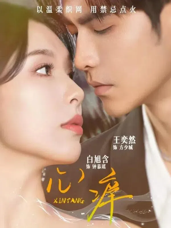 Poster phim Khao Khát Trái Tim trên SubNhanh