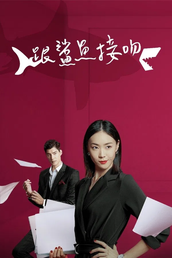 Poster phim Người Phụ Nữ Tuyệt Vời trên SubNhanh