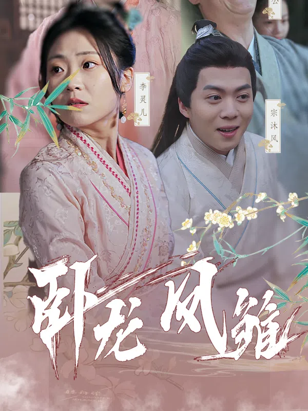 Poster phim Rồng Ẩn và Phụng Hoàng Vươn Bay trên SubNhanh