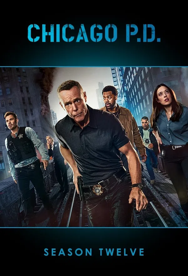 Poster phim Sở Cảnh Sát Chicago (Phần 12) trên SubNhanh