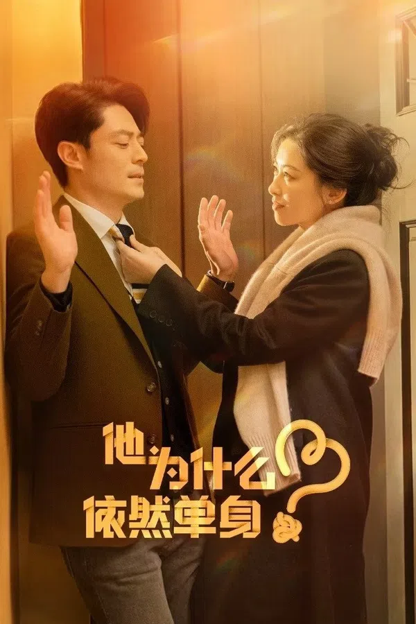 Poster phim Tại Sao Anh Ấy Vẫn Độc Thân? trên SubNhanh