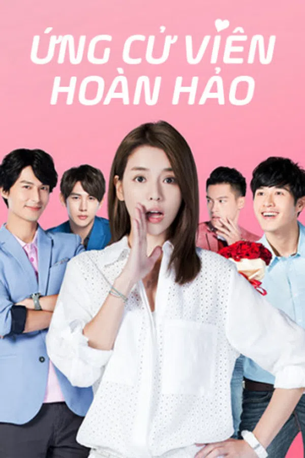 Poster phim Ứng Cử Viên Hoàn Hảo trên SubNhanh